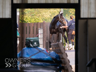 WG061023-31 - Warren Greatrex stable vist